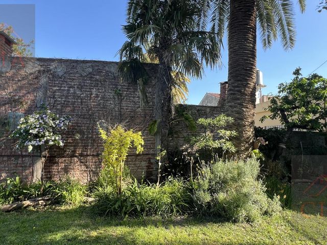 place photo 39