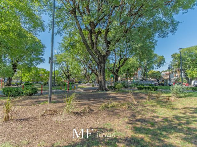 place photo 48