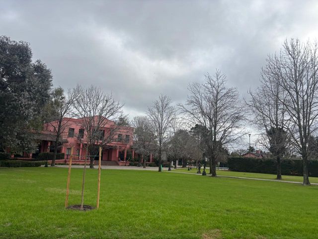 place photo 23