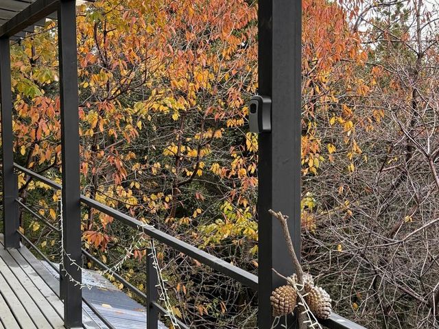 place photo 41
