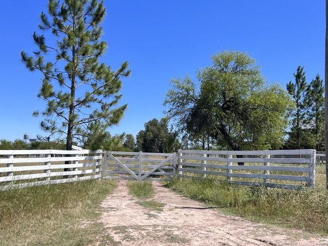 place photo 34