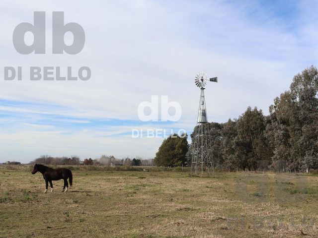 place photo 15