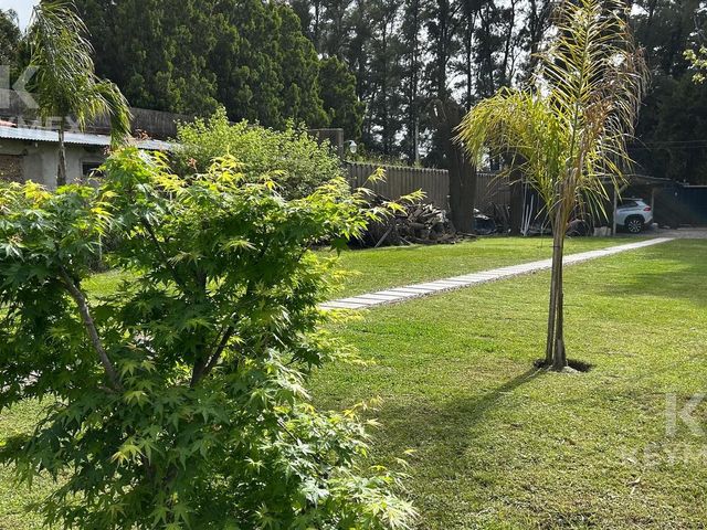 place photo 38