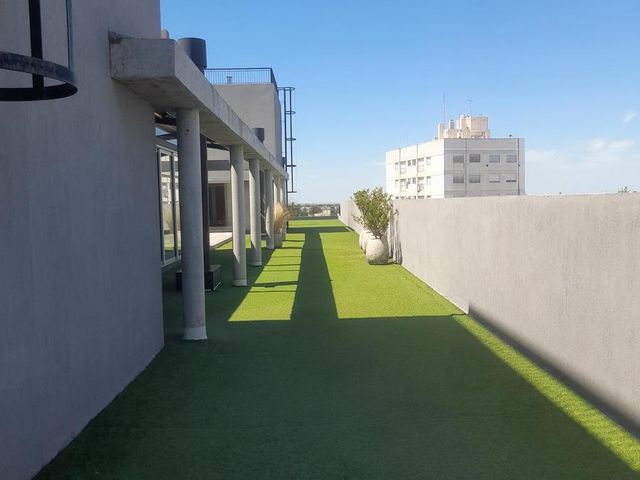 place photo 27