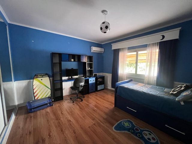 place photo 42