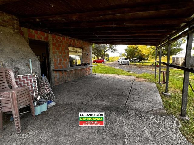 place photo 14