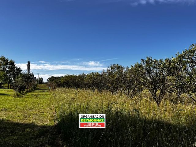 place photo 25