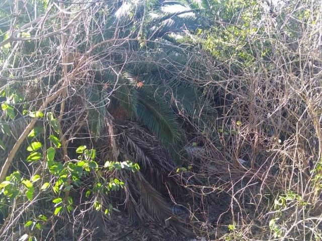 place photo 13