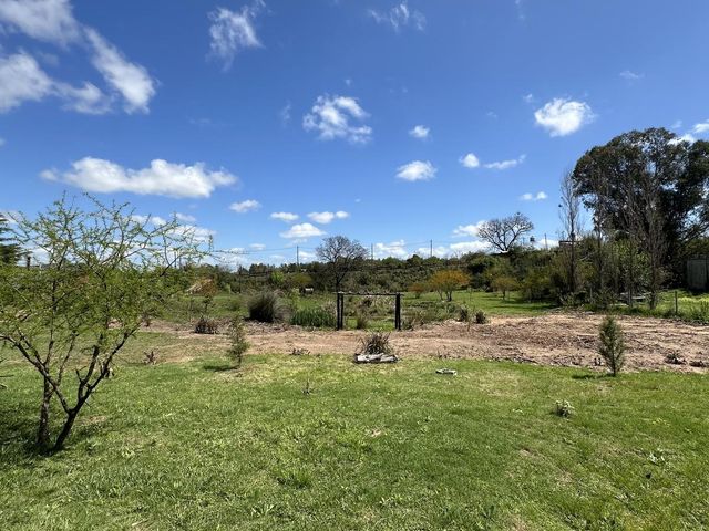 place photo 43