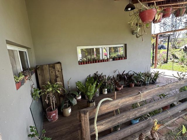 place photo 38