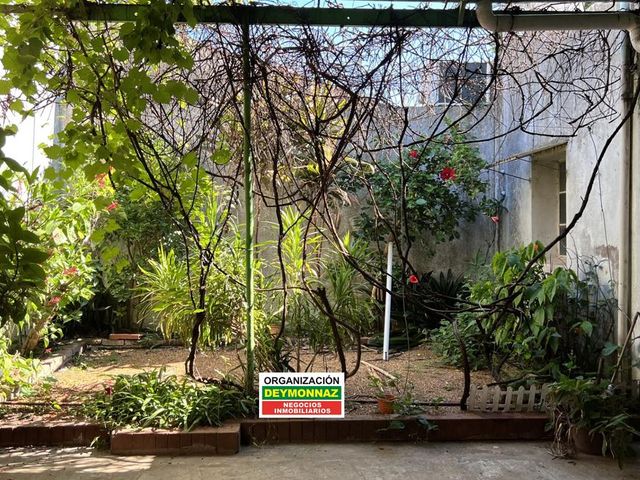 place photo 32