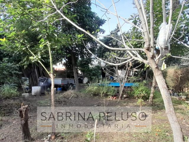 place photo 13