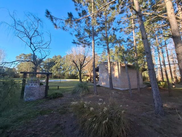 place photo 41