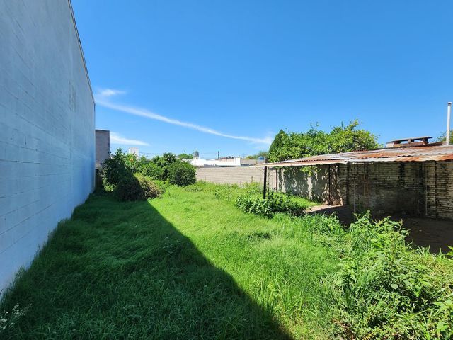 place photo 13
