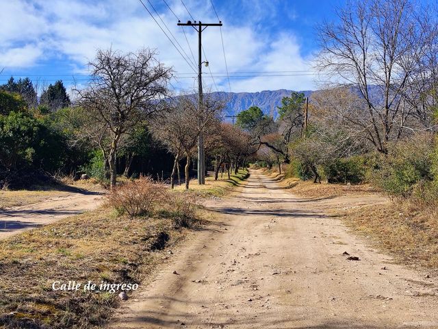 place photo 46