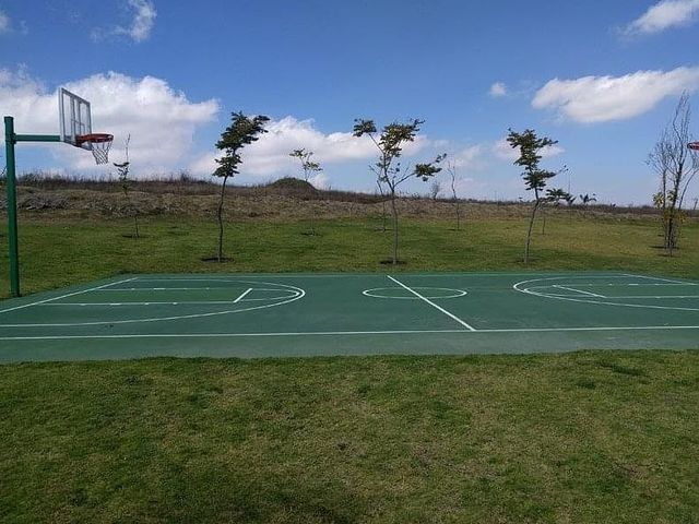 place photo 11
