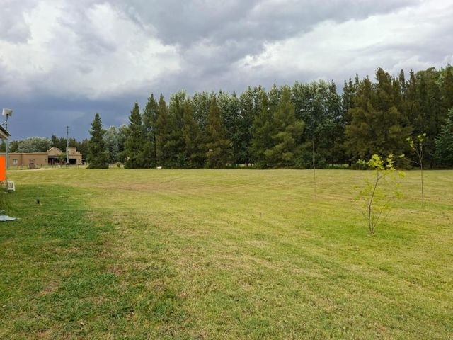 place photo 17