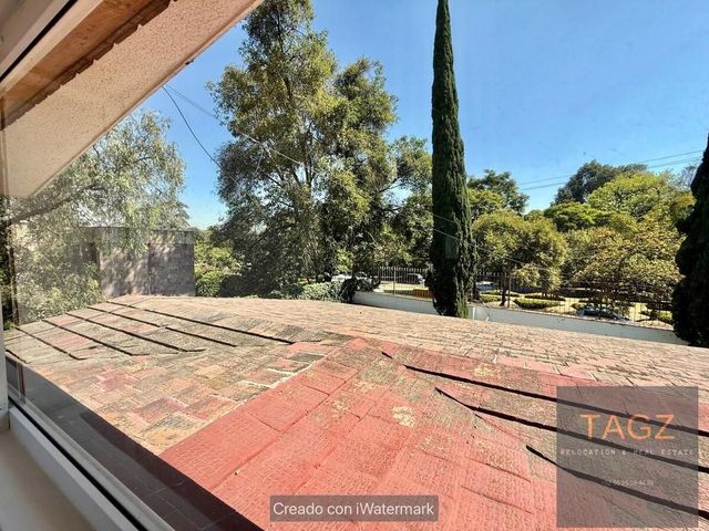 place photo 38