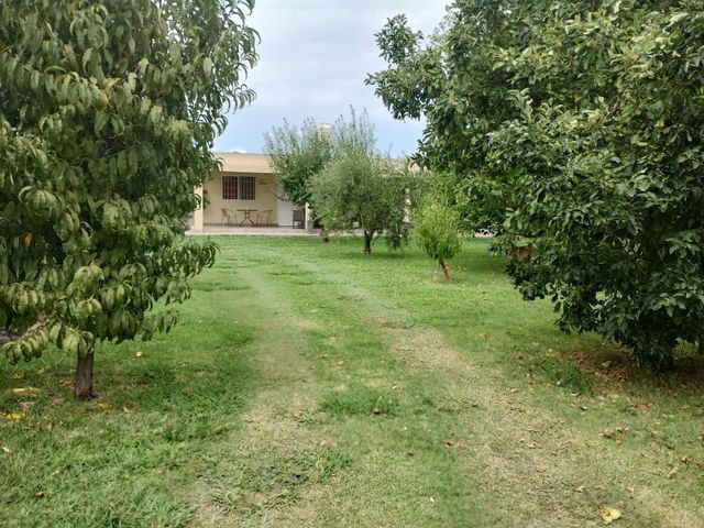 place photo 33