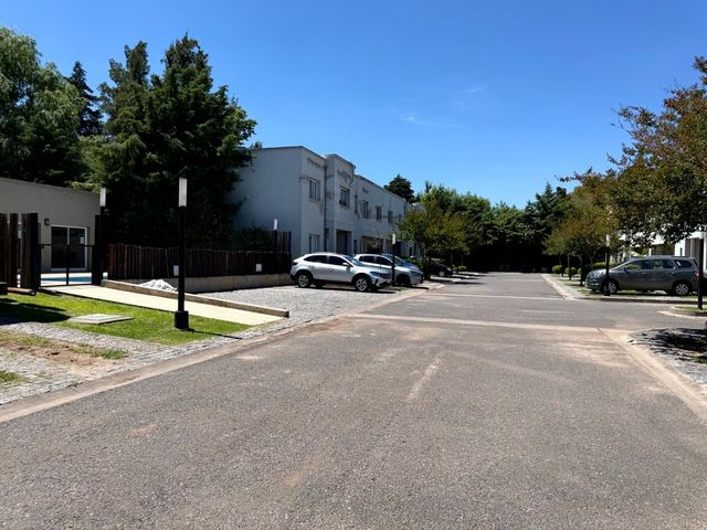 place photo 50