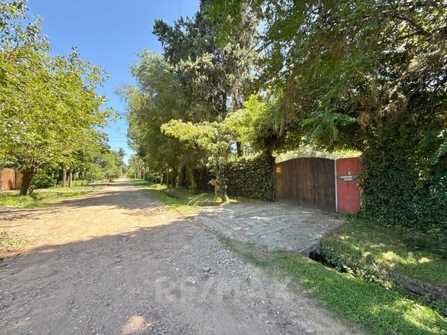 place photo 43