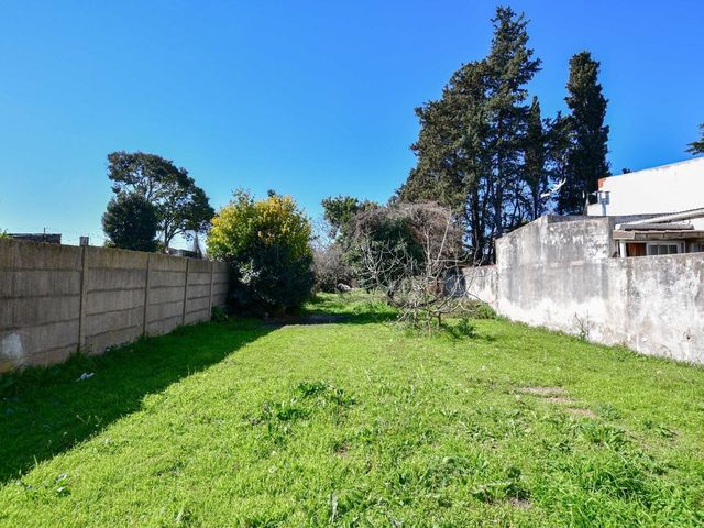 place photo 28