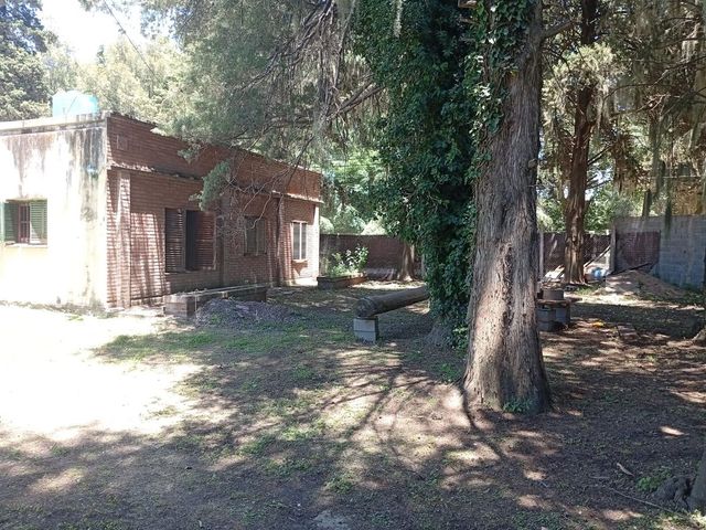place photo 23