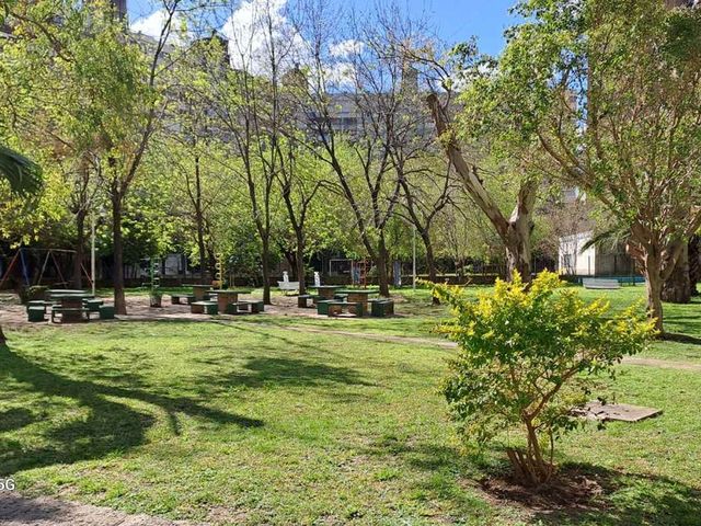 place photo 46