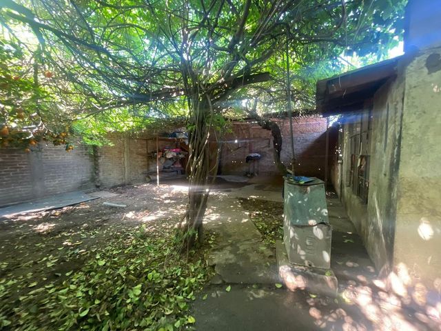 place photo 12
