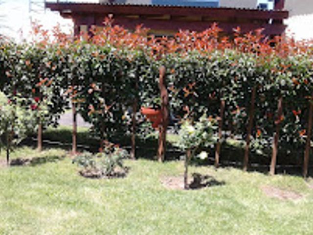 place photo 15