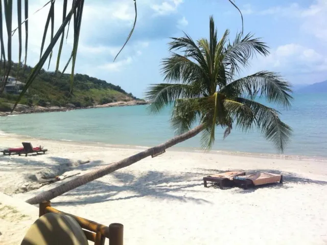 place photo 16
