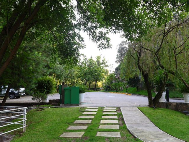 place photo 38