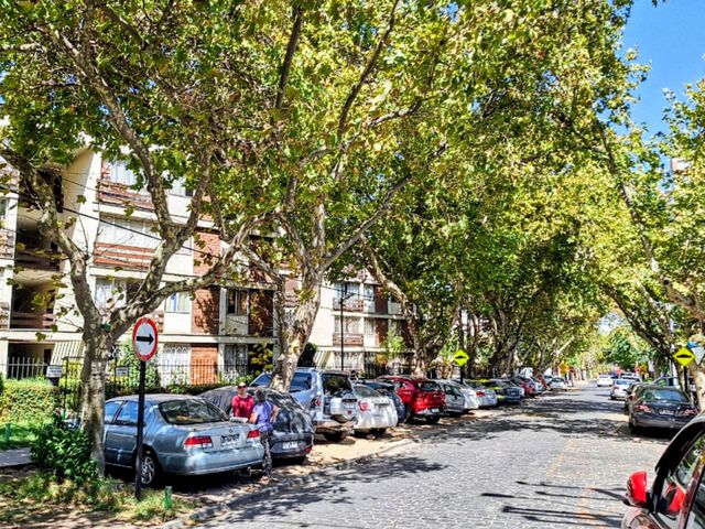 place photo 44