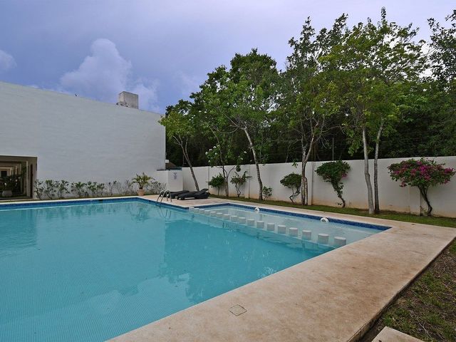 place photo 26