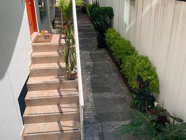 place photo 36