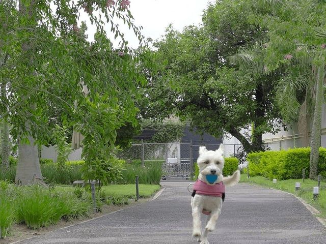 place photo 38