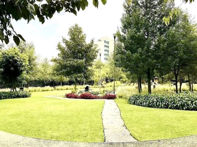 place photo 43