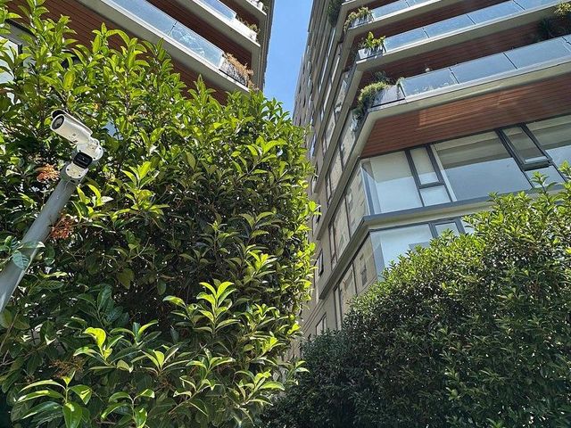 place photo 43