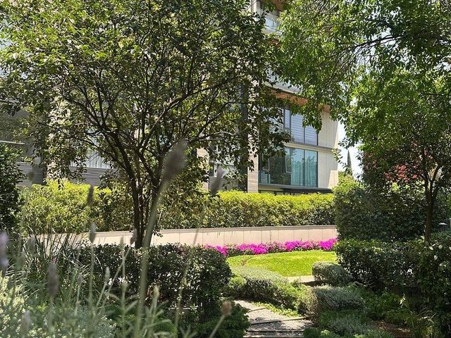 place photo 45