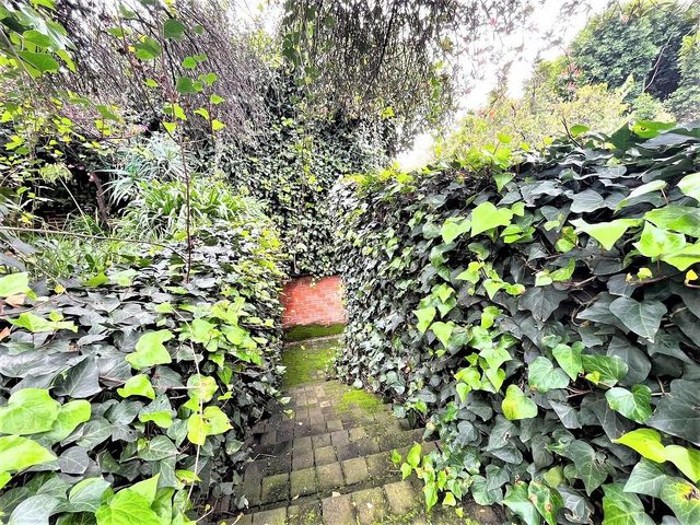 place photo 42