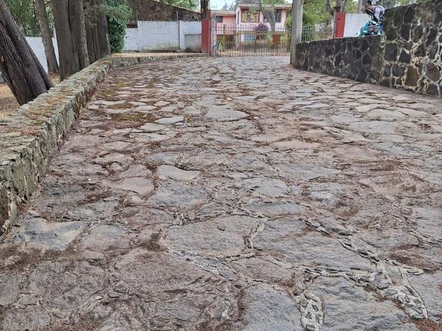 place photo 40