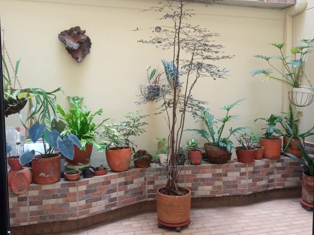 place photo 23