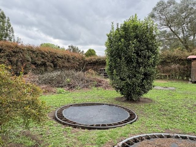 place photo 20