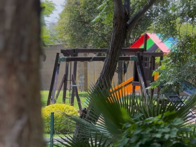 place photo 50