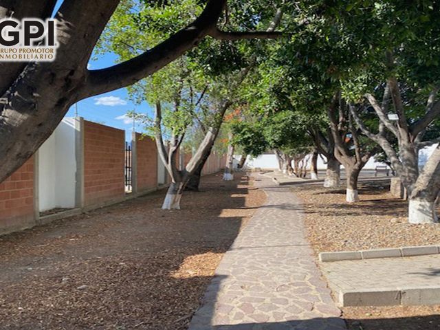place photo 19