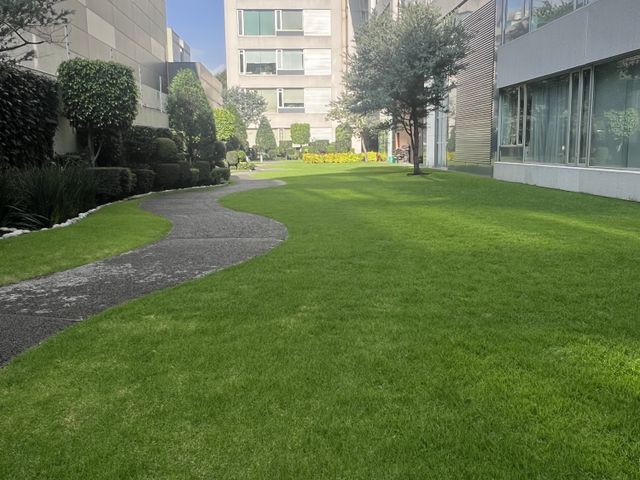 place photo 36