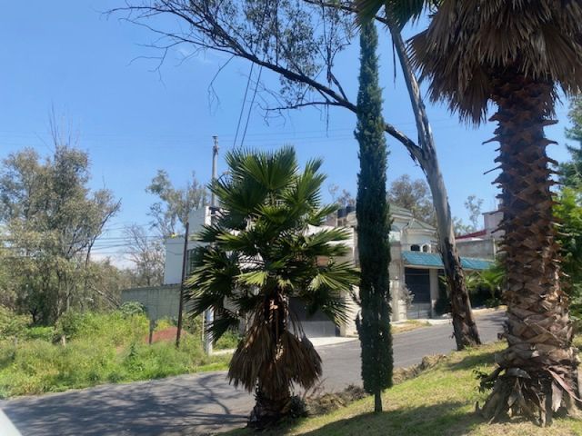 place photo 26