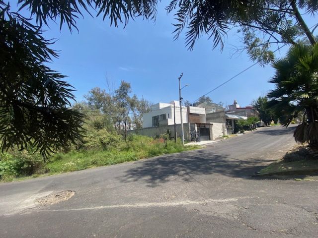 place photo 14