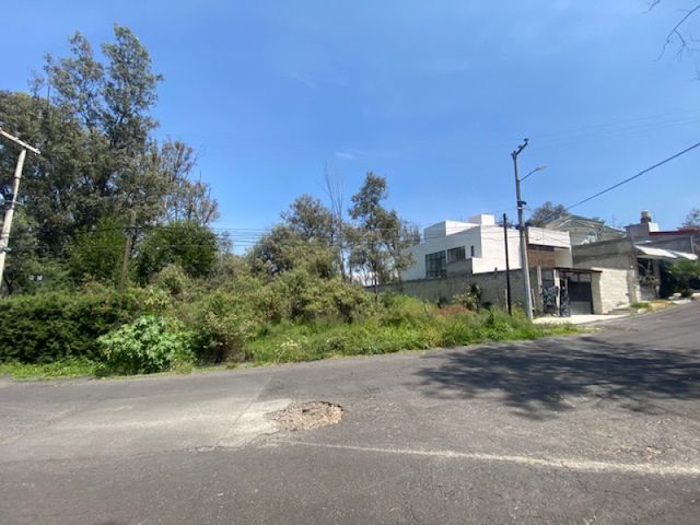 place photo 20