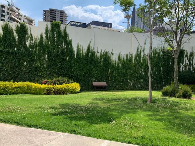 place photo 43